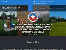 Tablet Screenshot of fecapech.cl